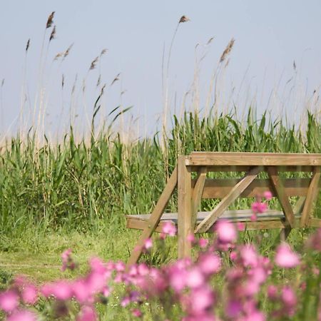 De Tijnjehoeve Boornzwaag over de Wielen المظهر الخارجي الصورة